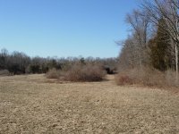 Land Spring 2005.JPG