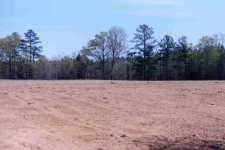 867020-tilled field 20153.jpg