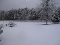 IMG_0149.JPG