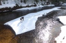 wallyriver.jpg
