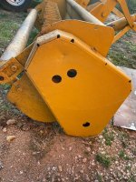 yellow-belly3.jpeg