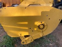 yellow-belly6.jpeg