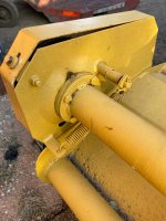 yellow-belly8.jpeg
