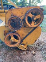 yellow-belly9.jpeg