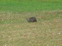 IMG_0103.JPG