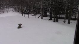 3-19-2020.JPG