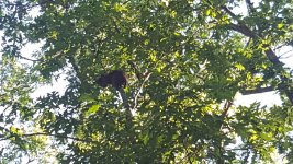 20170624_181557.jpg