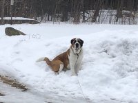 IMG_3276 2.jpeg