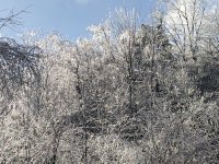 IMG_2316.jpeg