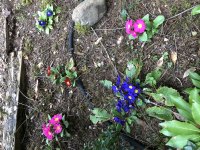 IMG_0869.JPG