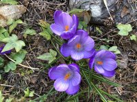 IMG_0866.JPG