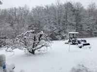 IMG_8496.jpeg