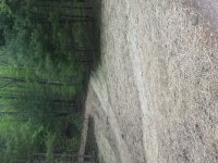 8C69724F-1D18-4187-B88C-695F5D452DFF.jpeg