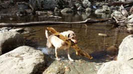20170224_142015.jpg
