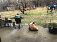IMG_1728.jpeg