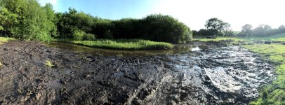 Mud pie.jpg