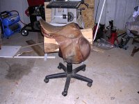 DSCN2390.jpg