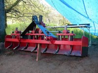 867989-RIPPERS UP.JPG