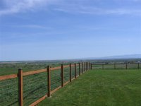 869043-Fence 5 (Small).JPG