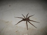IMG_3203.JPG