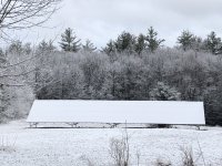 IMG_8089.jpeg