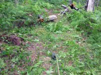 string trail523.jpg