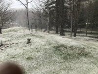 4-19-2020.jpg