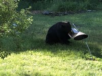 IMG_7321 2.jpeg