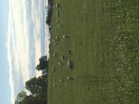 F0E6758D-9FFA-49D2-9704-920AE53A1519.jpeg