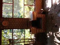 IMG_20200826_110526254.jpg