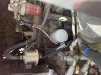 IMG_8196.jpeg