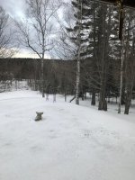 4-22-2020.jpg