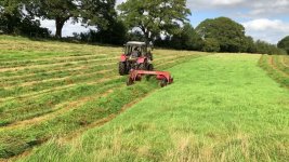 Mowed.jpg