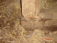barn-2.JPG
