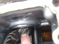 DSC01337_resize.JPG