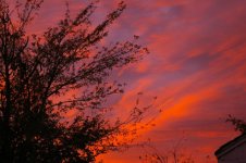 10-27-2006 sunrise 003.jpg