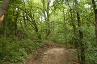 884683-5 12 06 WOODS SIDE CUT ROAD LOOKING DOWN 7 A.jpg