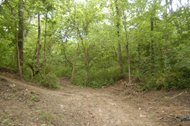 884686-5 12 06 WOODS 12A.jpg