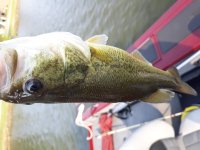 20201001_100956.jpg
