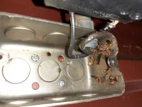 bugs-in-switch-box.jpg