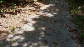 20200805_133641.jpg