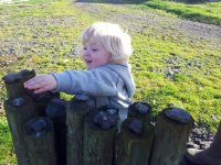 Stones on posts.JPG