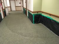 IMG_2281.JPG