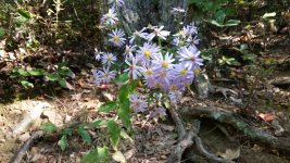 20201006_105439.jpg