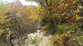 20201009_135444.jpg