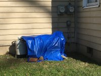 IMG_2444[1].JPG