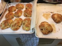 IMG_2445[1].JPG