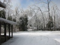 IMG_1440.JPG