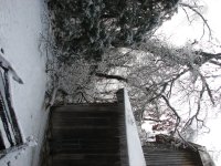 IMG_1441.JPG