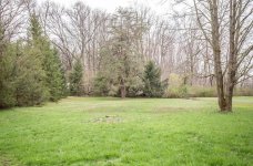 rear lawn.jpg